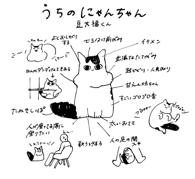 うちのにゃんちゃん説明 