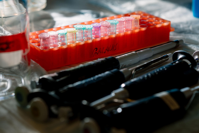 Mayo clinic comprehensive cancer center on twitter clinicaltrials