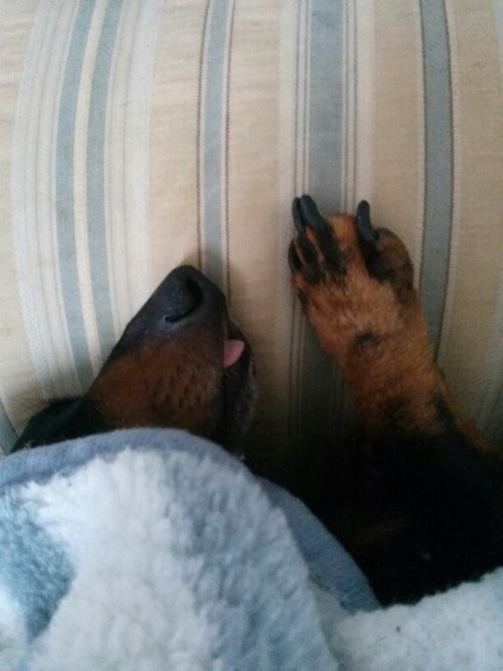 salsichinhas's tweet photo. Assim hoje https://t.co/IdpZSsVTFc