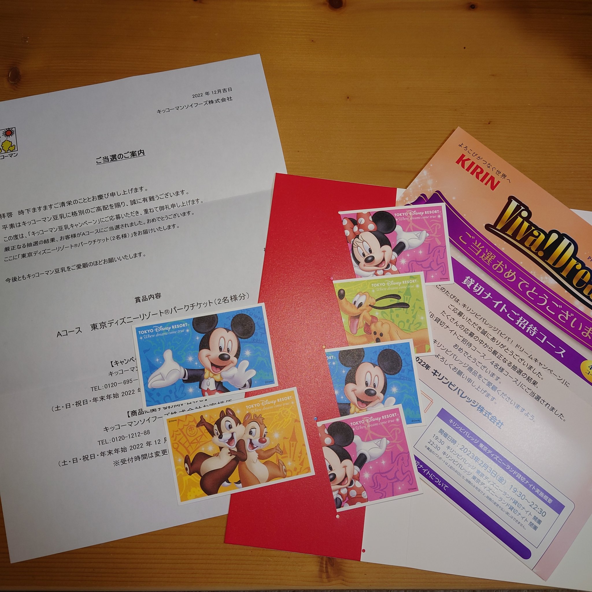 東京ディズニーランド貸切イベント 2/24 19:30〜22:30 2枚-