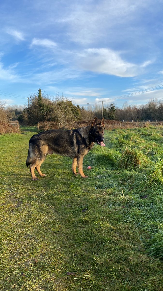 BernardVerbeek's tweet photo. ⁦@WmDeanFrench⁩ Happy Holidays 🎄👍🏻 #Bruce https://t.co/dAXiaHErAb