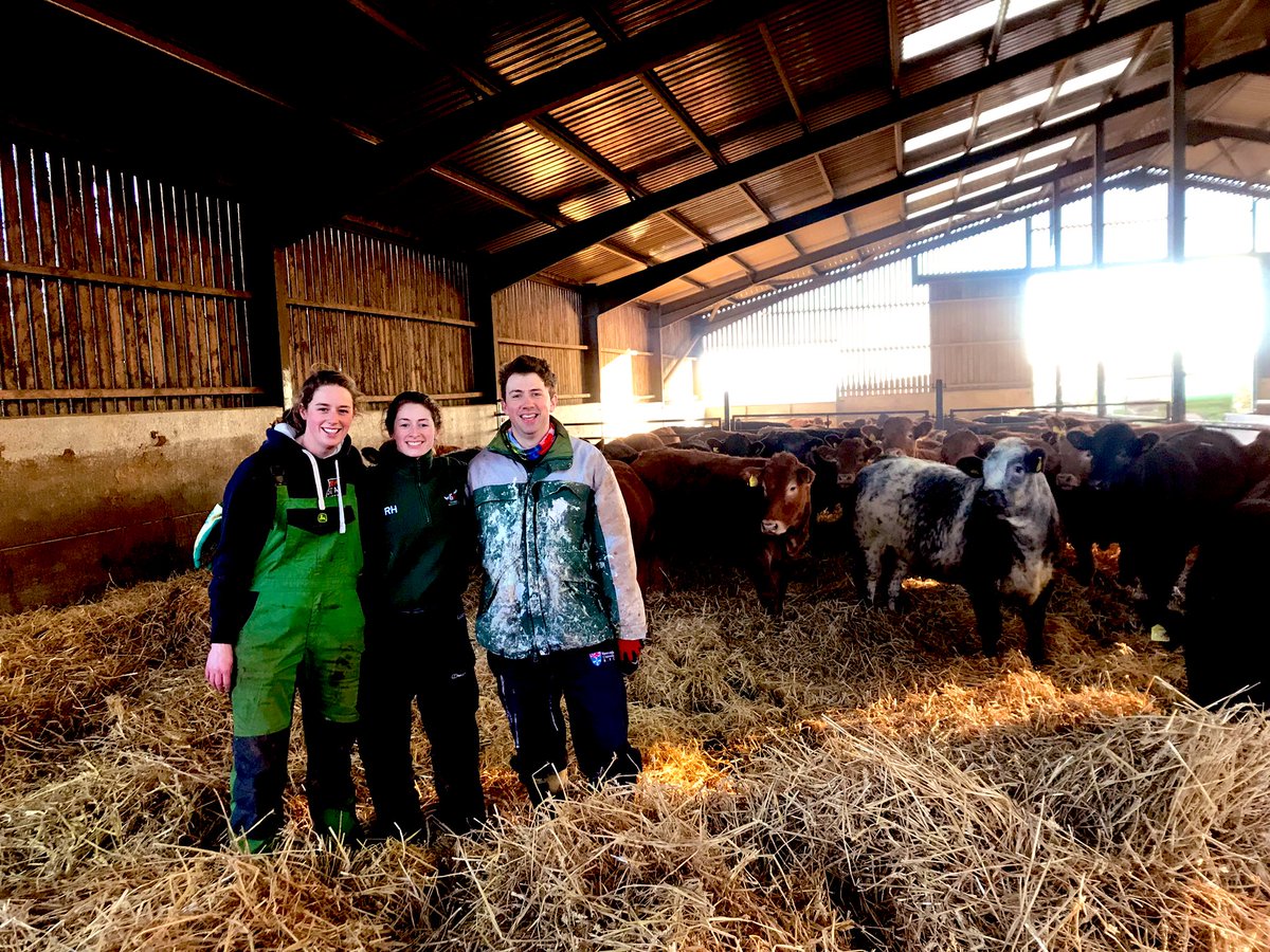 annabelhami11's tweet photo. #TeamBedding this morning! Brother Alisdair and Sister Rosie helping with Monday morning bedding! 29 bales rolled out bish bash bosh π₯! Beautiful π€© morning here for Boxing π₯ Day fun! Burning π₯ off some of the beautiful π€© food eaten yesterday π! https://t.co/feiHKqyatW