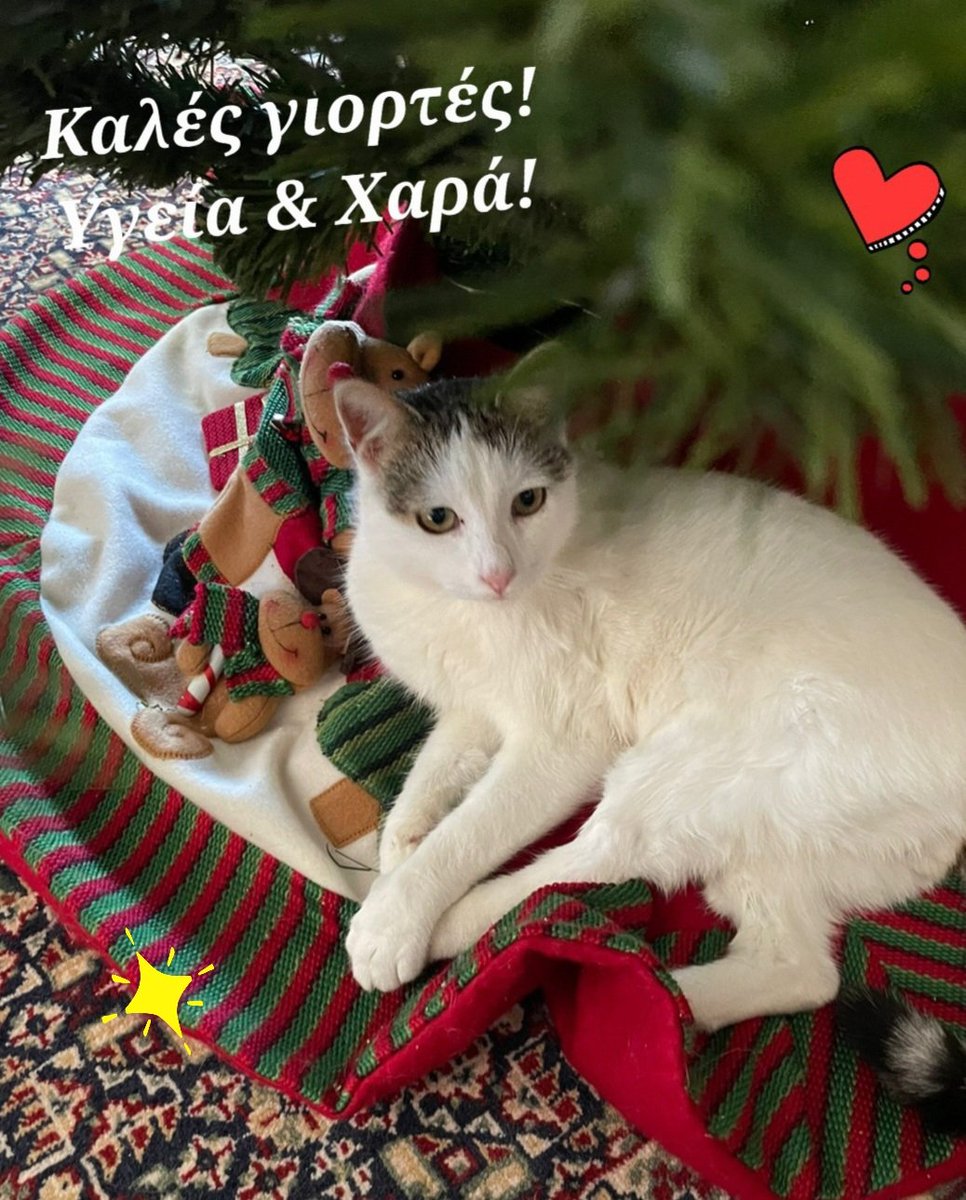 Wishing you happy  Christmas 🎄 holidays to all hard working fellow #educators  full of new ideas and family moments! Let's hope the new year will bring peace, health and justice to all children around the globe  🙏