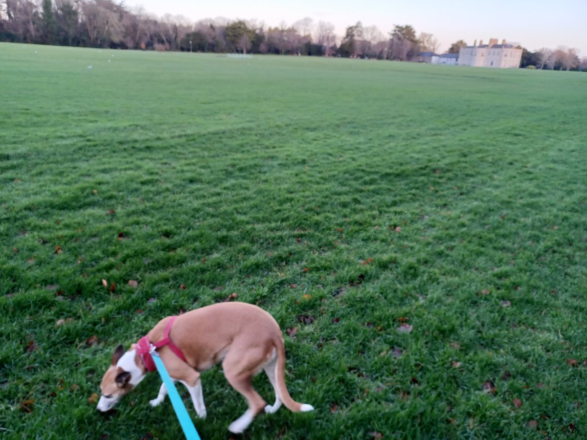 SarahBelton tweet media