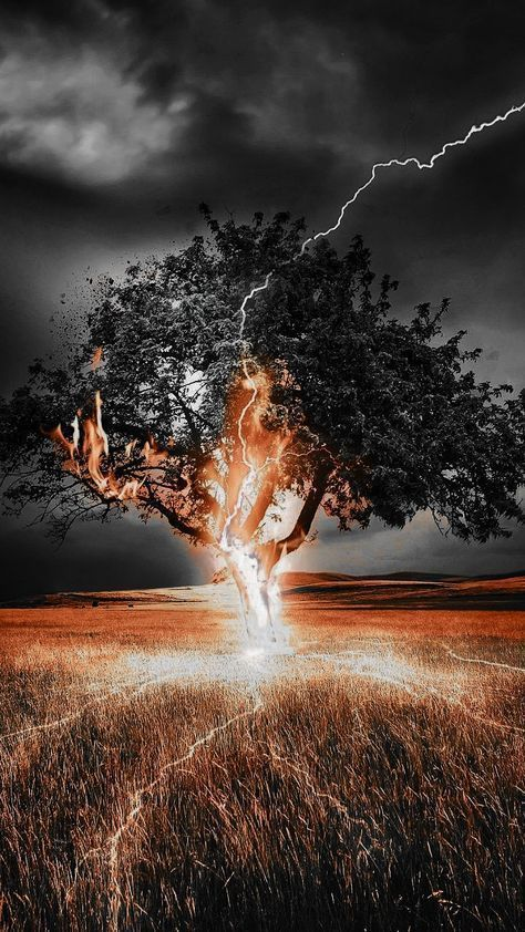 WOWWW #nature