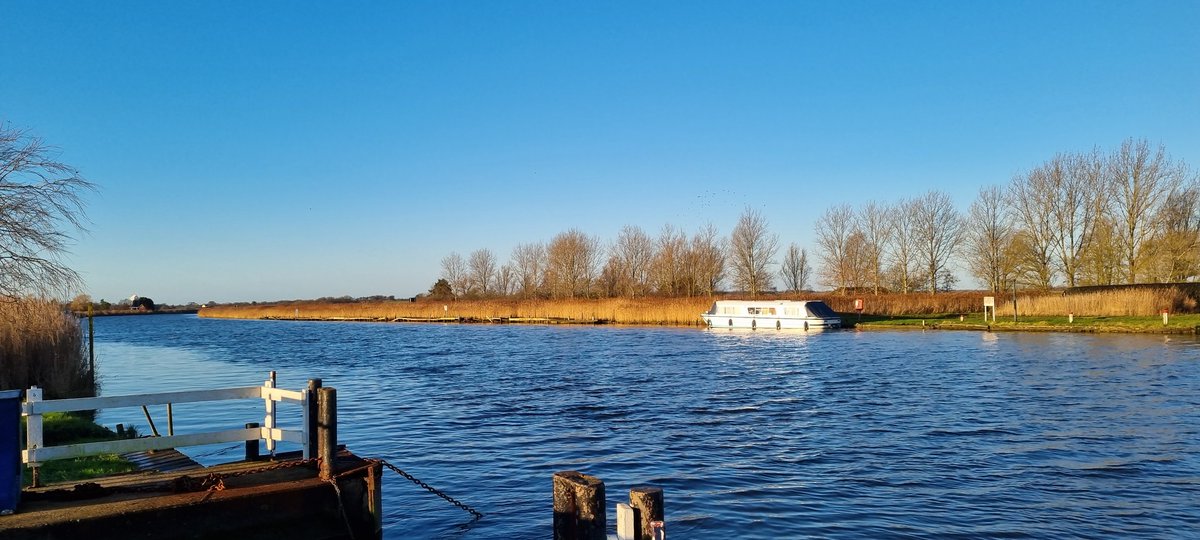 Joanna Hankinson tweet media