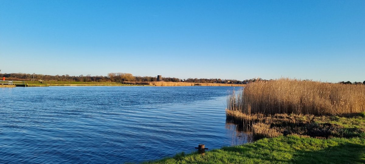 Joanna Hankinson tweet media