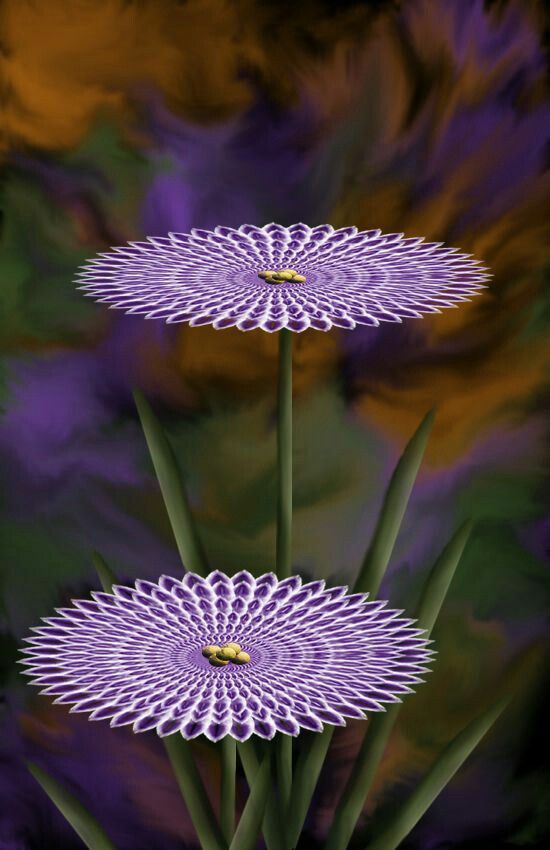 Do you like flowers? #nature