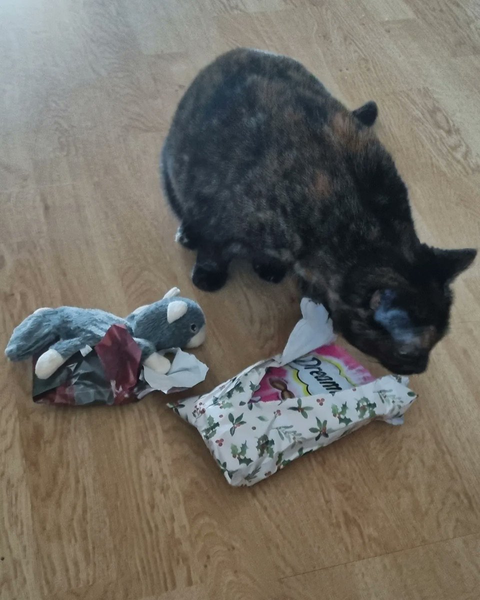 Karen_acts's tweet photo. 1st Christmas for Perdi here with me. We're playing with her toys, cuddling up watching films, and letting the world roll by without us for a while. Heaven.🩶 #Perdita #rescuecat #adoptdontshop #animalsamaritans https://t.co/PDEhwdsyF9