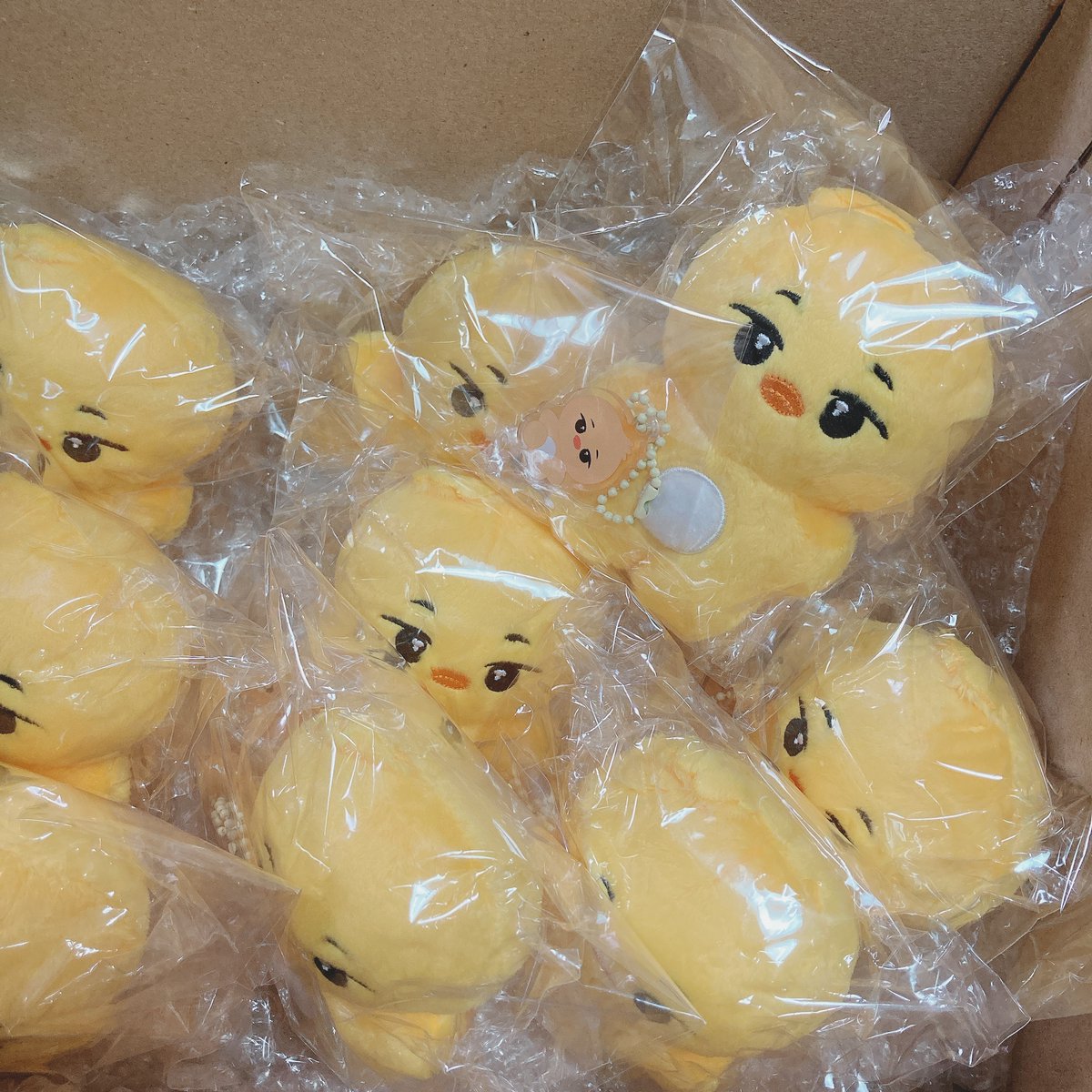 先程無事JPGO注文分を受け取りいたしました🐣❣️
ご注文者様には二次送金のご案内メールをお送りしましたのでご確認をお願いいたします💌