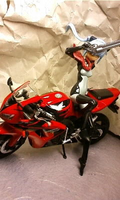 このまえ発表のときに貼ろうとしてぜんぜん見つからんかったストラーフの写真、いま見つけた 