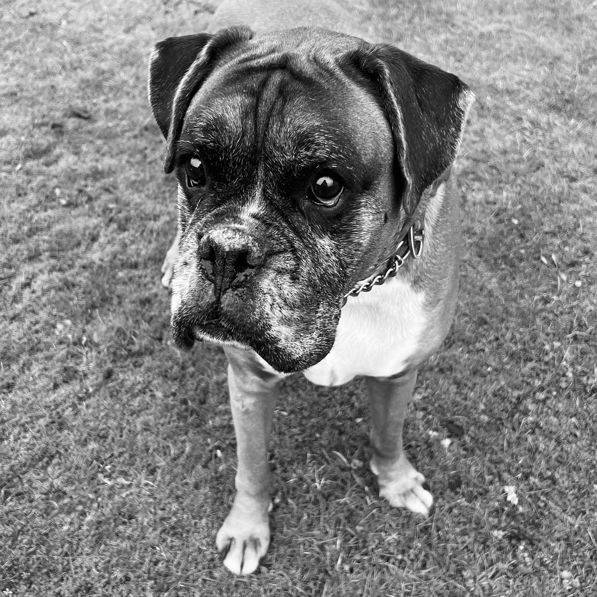 Emma Gray tweet media