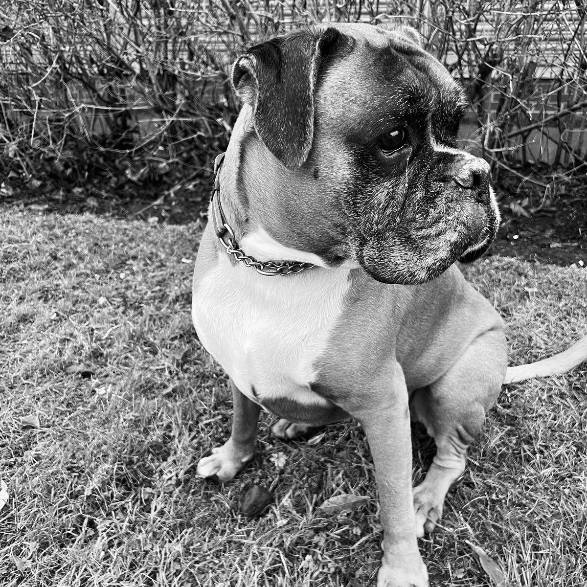 Emma Gray tweet media