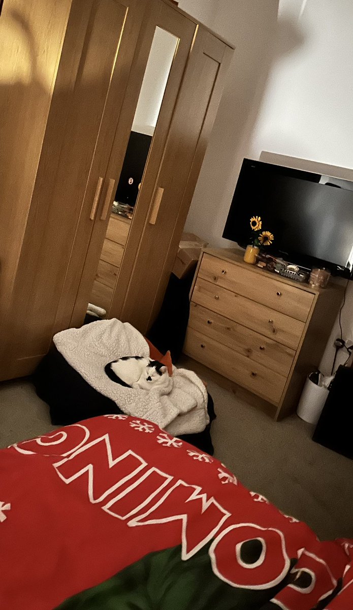 RMGirlUK's tweet photo. Whilst I was away #CCTVCat had my side of the bed. Last night I made her a comfy bed so that I didn’t accidentally kick her in the face during sleep. She seemed to like the new bed. https://t.co/XuVxzkzuwM