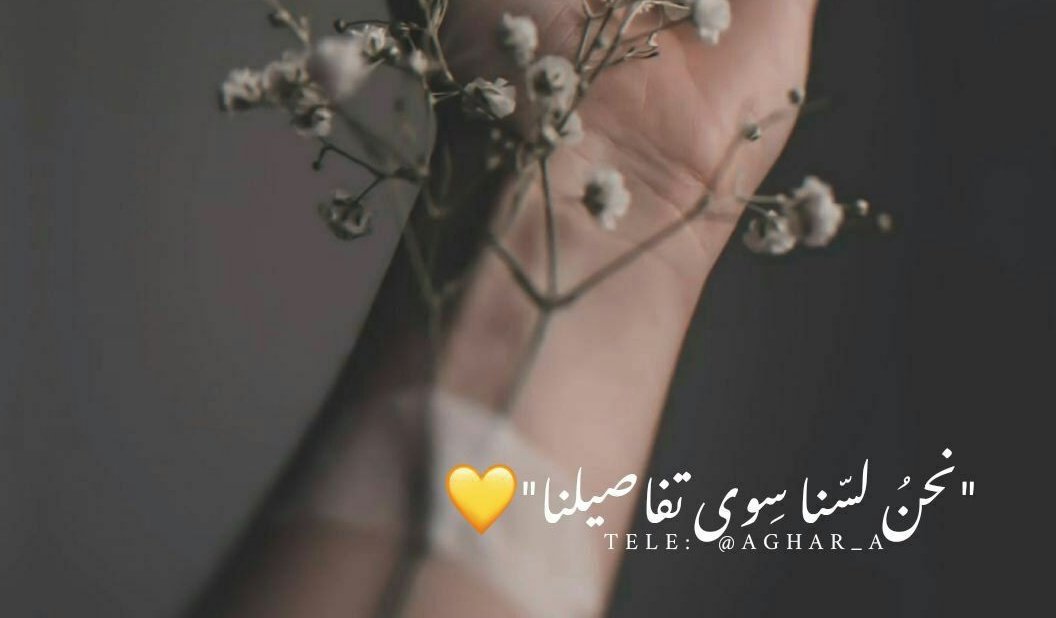 "كن بنفسك مكتفي، وكن لنفسك كل شيء."

#مساء_الخير 🌹