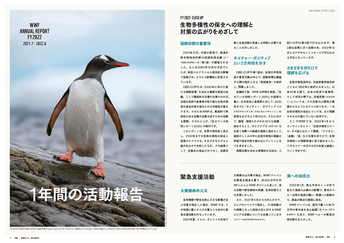 ARABIA WWF ペンギン リルモアマンネルヘイム 北欧 リルモア
