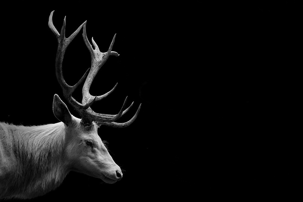 archillect's tweet photo. https://t.co/l9txtgIx8j