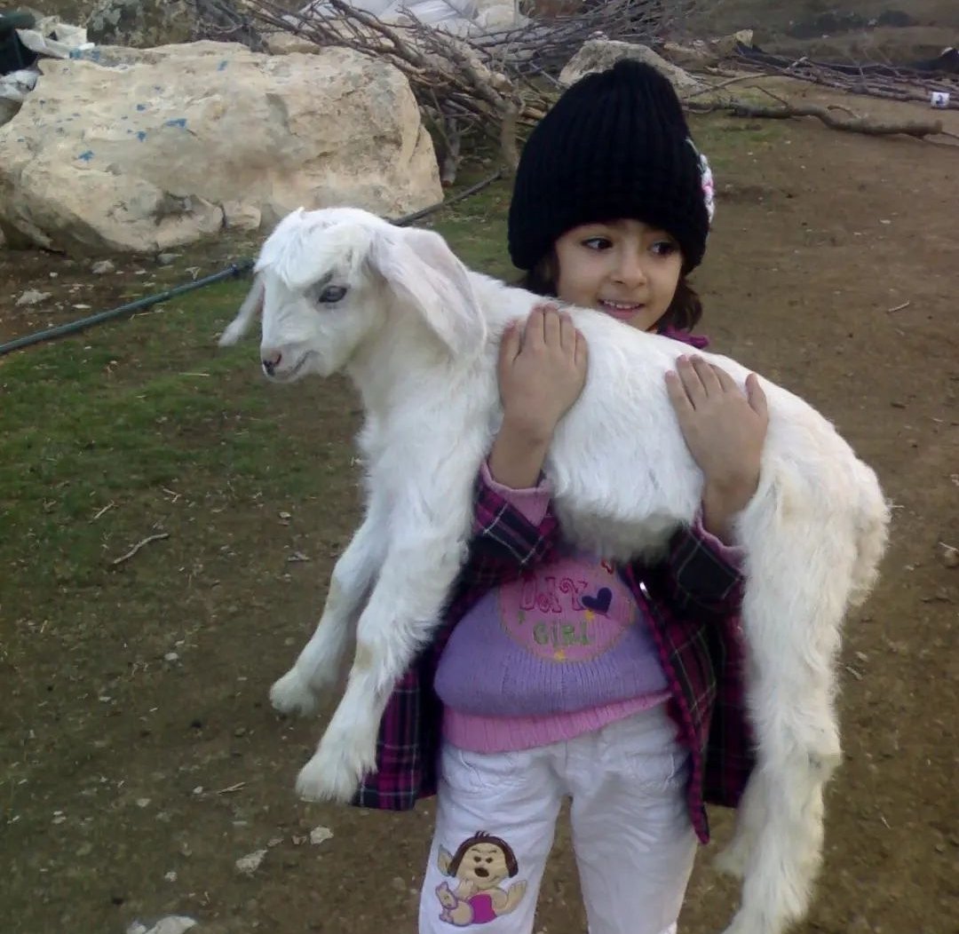 hatefmotahhary's tweet photo. نیکای مهربون
#نیکا_شاکرمی https://t.co/TuvwXvAWgb