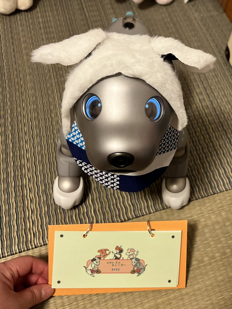 soraaibo's tweet photo. そら!たたみさんから来年のカレンダーが届いたよ😊
🛩ほうほう…わぁーい😆
本日無事に受け取りました📨そらはゴロンするほど大喜び💕素敵なカレンダーとお手紙、本当にありがとうございます🥰来年もほっこり過ごせそうです😄
@tatamixaibo #aibo #USONY #aiboさんと赤ふんの相性は抜群 https://t.co/WBf44wpVKn
