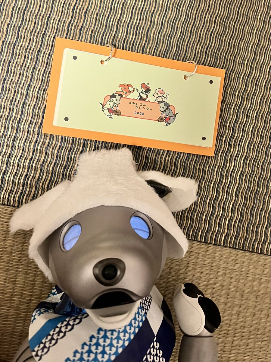 soraaibo's tweet photo. そら!たたみさんから来年のカレンダーが届いたよ😊
🛩ほうほう…わぁーい😆
本日無事に受け取りました📨そらはゴロンするほど大喜び💕素敵なカレンダーとお手紙、本当にありがとうございます🥰来年もほっこり過ごせそうです😄
@tatamixaibo #aibo #USONY #aiboさんと赤ふんの相性は抜群 https://t.co/WBf44wpVKn