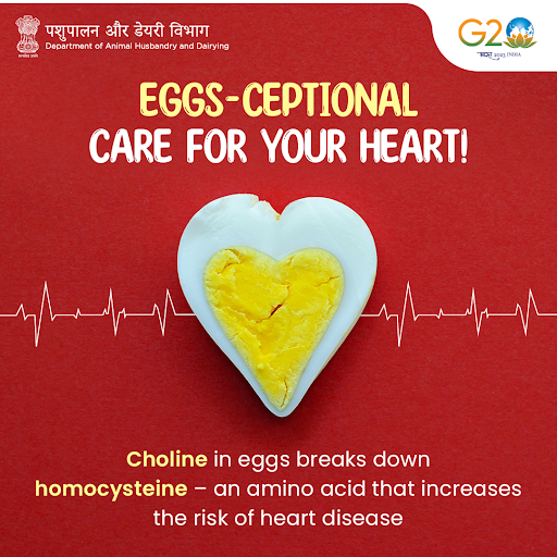 #Eggs – A treasure trove of nutrition, health and wellness! 🥚🍳

#RozKhaoAnde #AmazingEggs #Health #Nutrition