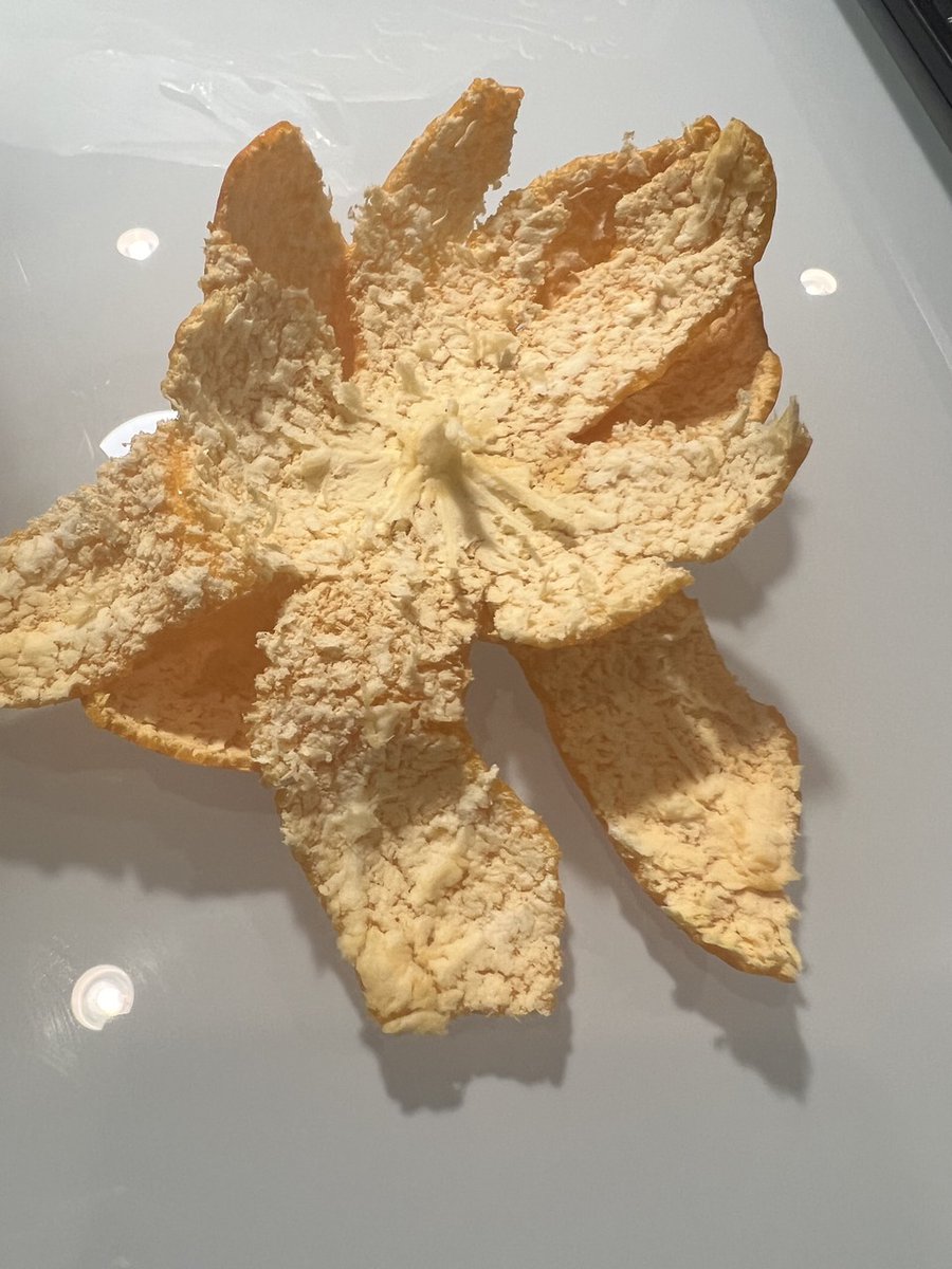 【ブログ更新 齋藤飛鳥】 冬の匂いを纏ったみかんを食べるのが好きです。凍てつく寒さの中で食べる豚汁が好きです。もこもことさせながら何枚も上着をきて歩くその姿はとても不格好で、これが冬だな、とシャッターを切りました。待ち侘びた春はやってこないけれど、いつまで… dlvr.it/Sfy3y9