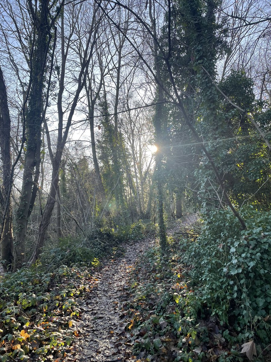 Jake Berger (@jakeberger) on Twitter photo #Brockley Nature Reserve open NOW until 2. <a href="/Broc_Soc/">Brockley Society</a> <a href="/BrockleyCentral/">Nick Barron</a> <a href="/Love_SE4/">@Love_SE4💙</a> <a href="/se4_bot/">SE4 Tweets</a> <a href="/LDN_SE4/">London SE4</a> <a href="/lewishamledger/">THE LEWISHAM LEDGER</a> <a href="/telegraphhillc1/">telegraphhillcentre</a> <a href="/ThAssembly/">The Hill Telegraph</a> <a href="/THfest/">Telegraph Hill Fest</a> #Brockley Nature Reserve open NOW until 2. <a href="/Broc_Soc/">Brockley Society</a> <a href="/BrockleyCentral/">Nick Barron</a> <a href="/Love_SE4/">@Love_SE4💙</a> <a href="/se4_bot/">SE4 Tweets</a> <a href="/LDN_SE4/">London SE4</a> <a href="/lewishamledger/">THE LEWISHAM LEDGER</a> <a href="/telegraphhillc1/">telegraphhillcentre</a> <a href="/ThAssembly/">The Hill Telegraph</a> <a href="/THfest/">Telegraph Hill Fest</a>