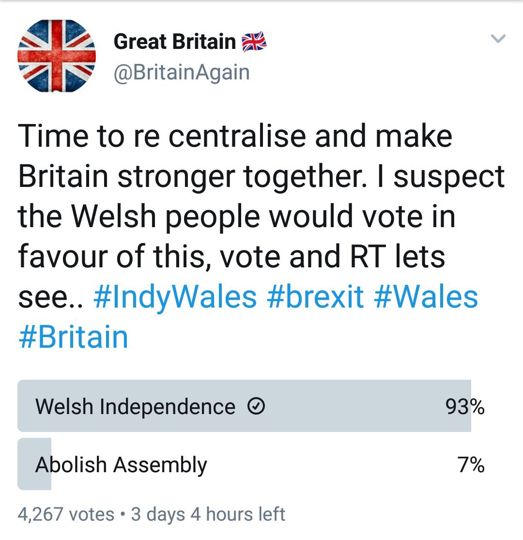 OwsWills's tweet photo. Imagine running this account and getting your pen-ôl handed to you every time you open a poll on Cymraeg and Cymru. 

It must be crushing. 😆 https://t.co/kUxjnweb4X