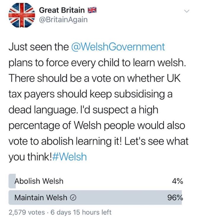 OwsWills's tweet photo. Imagine running this account and getting your pen-ôl handed to you every time you open a poll on Cymraeg and Cymru. 

It must be crushing. 😆 https://t.co/kUxjnweb4X