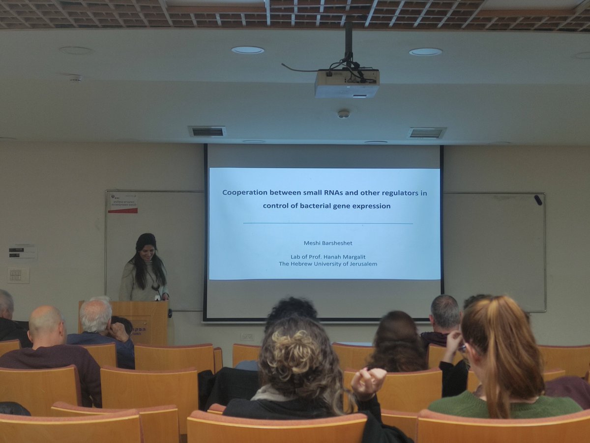 Omer_goldb's tweet photo. Excellent and exciting Ph.D. young seminar talk at @Hujimed by talented @Meshinkaa from the lab of Prof. Hanna Margalit about the cooperation between sRNA and RNase E in bacterial gene expression! #sRNA #PhD 🍾 https://t.co/vpgUWzpEZW