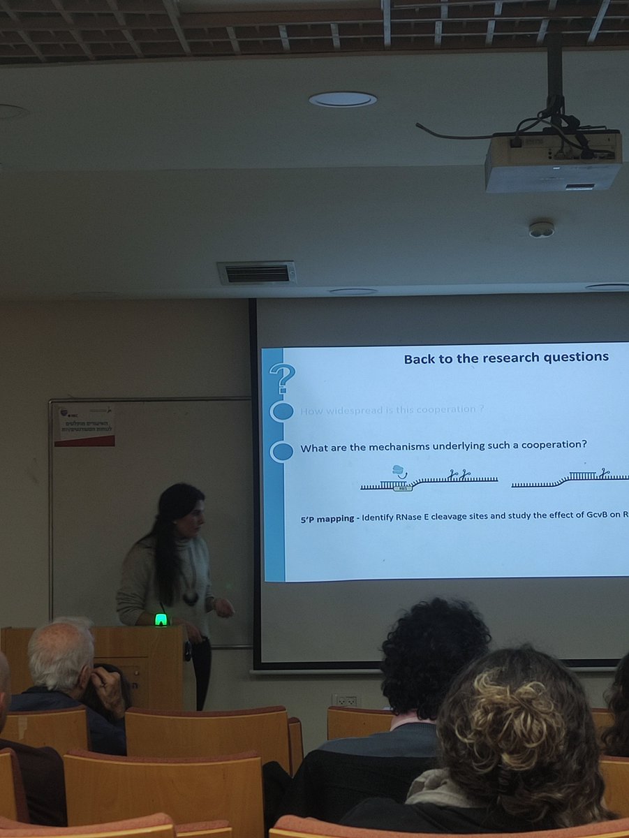 Omer_goldb's tweet photo. Excellent and exciting Ph.D. young seminar talk at @Hujimed by talented @Meshinkaa from the lab of Prof. Hanna Margalit about the cooperation between sRNA and RNase E in bacterial gene expression! #sRNA #PhD 🍾 https://t.co/vpgUWzpEZW