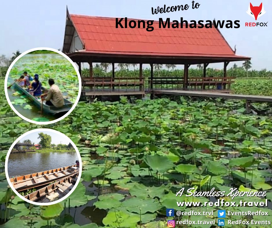 EventsRedfox's tweet photo. An Xperience that allows you to discover the local lifestyles at Klong Mahasawas. Enjoy a fascinating boat ride to explore the lotus farm. Relish authentic Thai food and experience the rural lifestyle, traditions and native culture.

A Seamless Xperience
https://t.co/kzNIdZwXuC https://t.co/Mwe7t9Cd6x