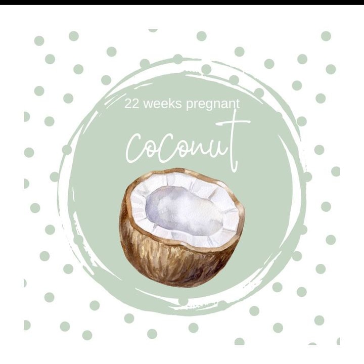 lady_ip's tweet photo. Your baby is now roughly the size of a coconut. The lungs are starting to develop and your baby will start taking a few practice breaths.
Happy boxing day.

#BoxingDay https://t.co/BLk1qBAU4p