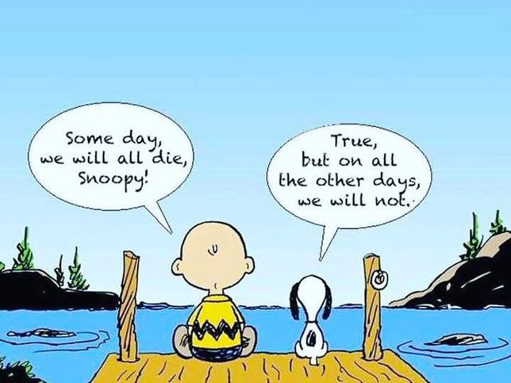 GeorgeAMassih's tweet photo. #live #lovelife https://t.co/NSVyscHrNp