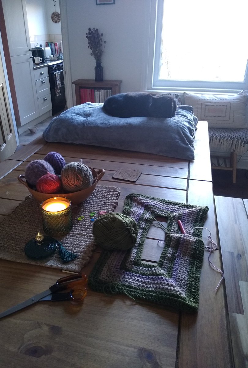 GFSpiers's tweet photo. #cats and #crochet https://t.co/jo7euFXvjQ