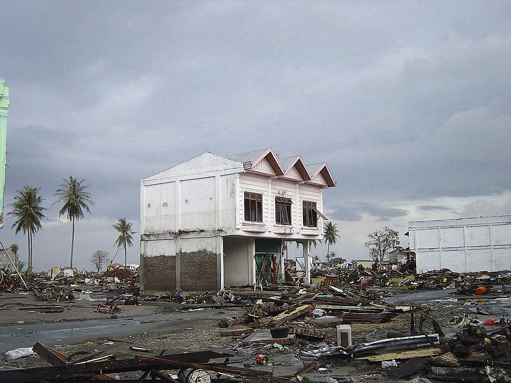 في مثل هذا اليوم من عام 2004 ضرب تسونامي سواحل المحيط الهندي، وكانت إندونيسيا، وهي الدولة ذات العدد...