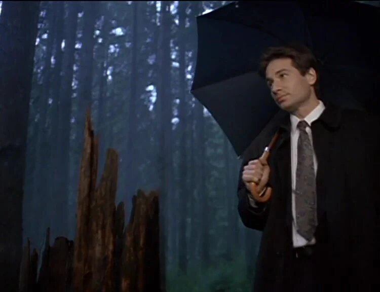 Random XFiles on Twitter "TheXFiles Season 2 Episode 14 Die Hand