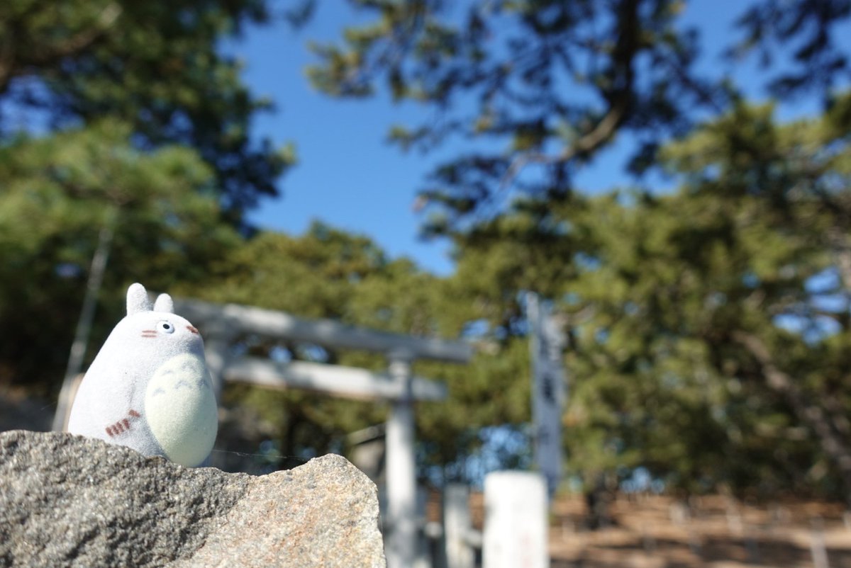 vision_cam_ac's tweet photo. コンデジでも頑張って撮ってみる。
#RX100M5 #秦野 #日本平 #震生湖  #三保松原 #静岡 https://t.co/2t7Ti9cQEN