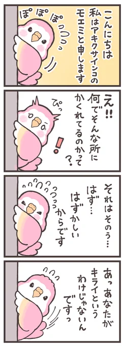 アキクサインコのモエミちゃん#漫画が読めるハッシュタグ 