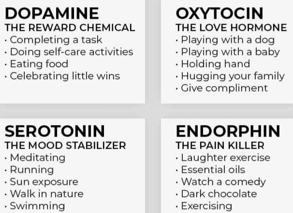 aproject007's tweet photo. Hormones play a crucial role in controlling our thoughts, emotions, and behaviors. From regulating mood and appetite to influencing sleep patterns and stress responses, they have a powerful influence on our mental and physical health. How to master them? https://t.co/1xuwlSpnSy