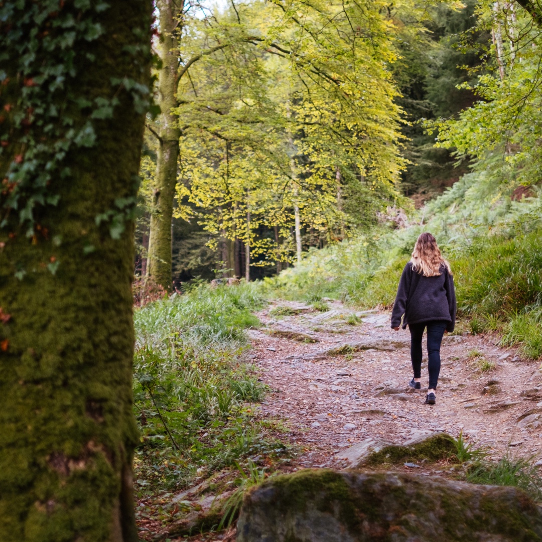 There’s nothing nicer than a fresh Christmas stroll after the big day. Then there’s nothing nicer than strolling in Snowdonia. Sign up to the mailing list to be the first to find out about our 2023 Christmas stay packages. Call 01492353123