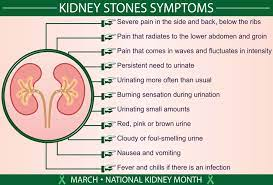 50Plushealths's tweet photo. #BladderStone (Vesical calculi) - The Symptoms https://t.co/ldLNGgOvty https://t.co/n5tw7XxUzD