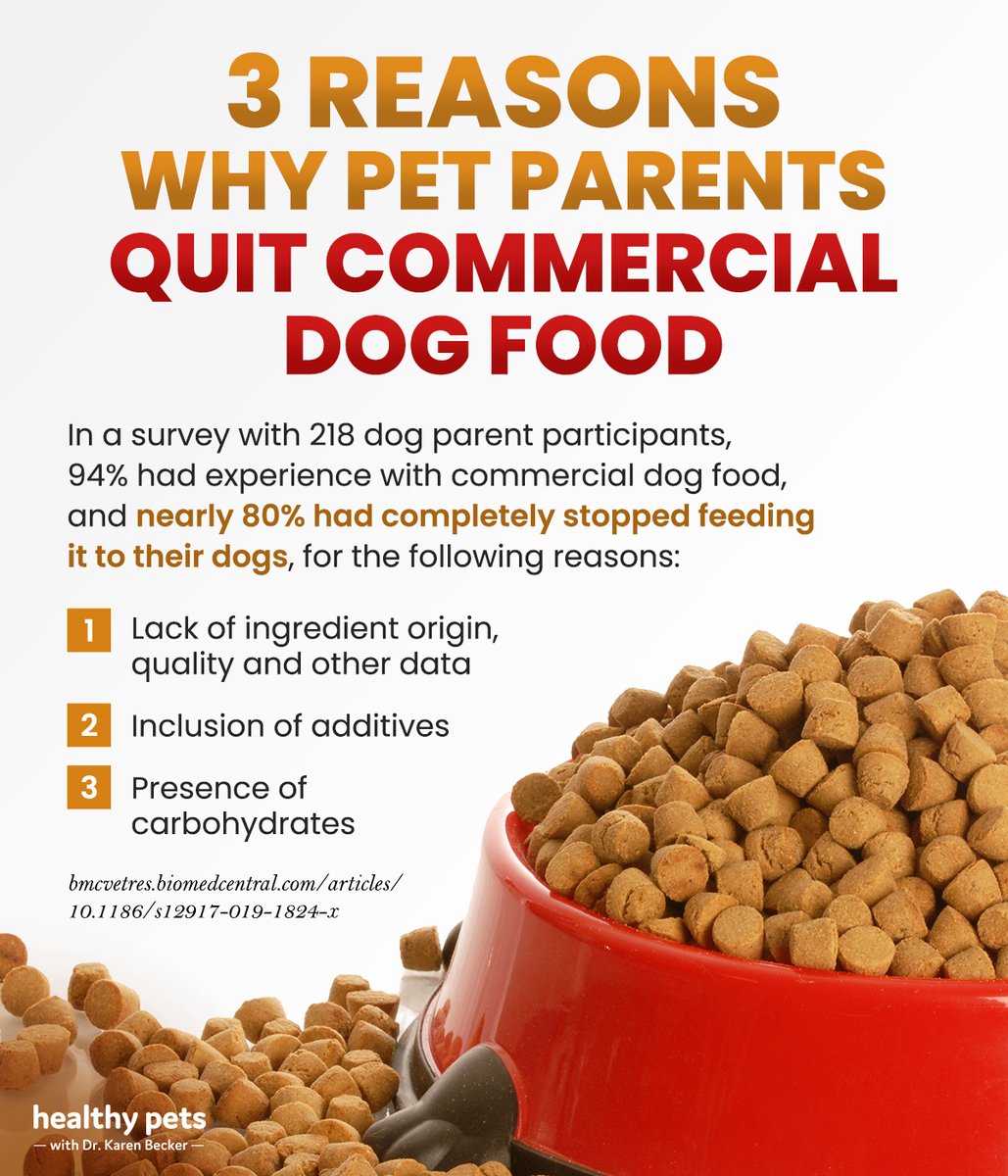 Dr Karen Becker Best Dog Food