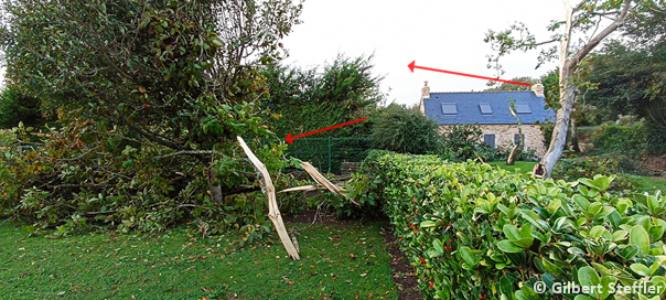 L'épisode tornadique remarquable du 23 octobre compte une 4ème #tornade, qui a été mise en évidence dans le #Finistère, à #Concarneau. Survenue plusieurs heures avant celle de Bihucourt, elle a provoqué des dommages dans un couloir long d'environ 1 km : 