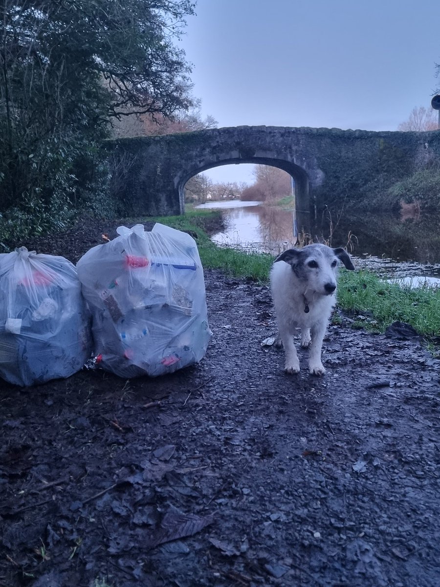 roriain's tweet photo. Another great satisfying stroll on the #BarrowWay. Milford bridge down to the stone seat. (4hr, 9km, 5kg). Hairy curtain crust fungus. #LeaveNoTrace #RiverBarrow #litterpick https://t.co/RRomePUH2o