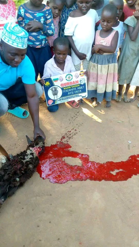 b🇺🇬🇺🇬Allah kurban sadakalarını kabul etsin inşaallah amin yalabi 🙏🤲🏼 tüm değerli bağışçılarımıza teşekkürler Allah canınızı versin ihtiyaç sahipleri için bağış yapmaya devam edin başka bir destek çağrısı olursa Wha