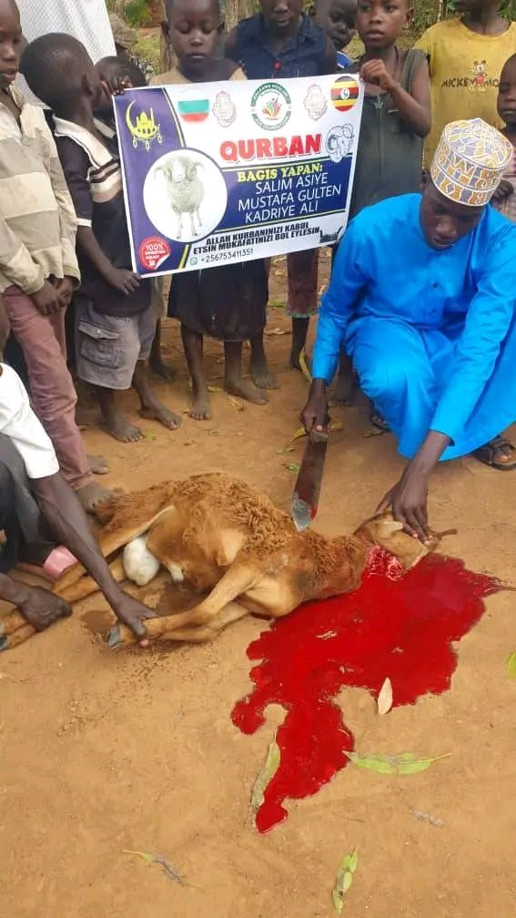 b🇺🇬🇺🇬Allah kurban sadakalarını kabul etsin inşaallah amin yalabi 🙏🤲🏼 tüm değerli bağışçılarımıza teşekkürler Allah canınızı versin ihtiyaç sahipleri için bağış yapmaya devam edin başka bir destek çağrısı olursa Wha