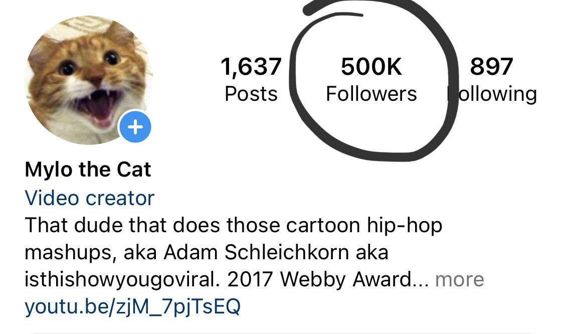 Mylo the Cat tweet media