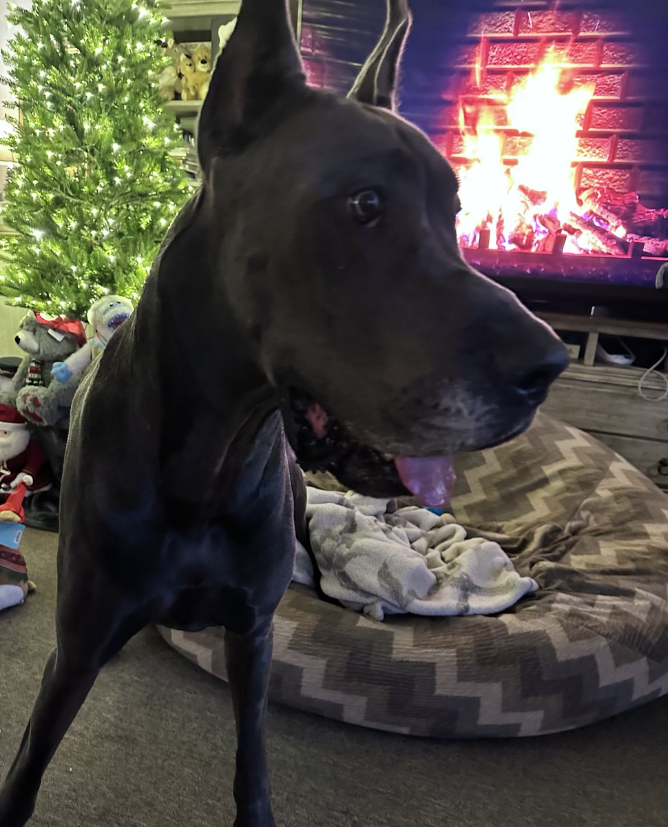 Happy Holidays from Gabriel and Esmae <a href="/GabbyDoo5/">@GabbyDoo</a>