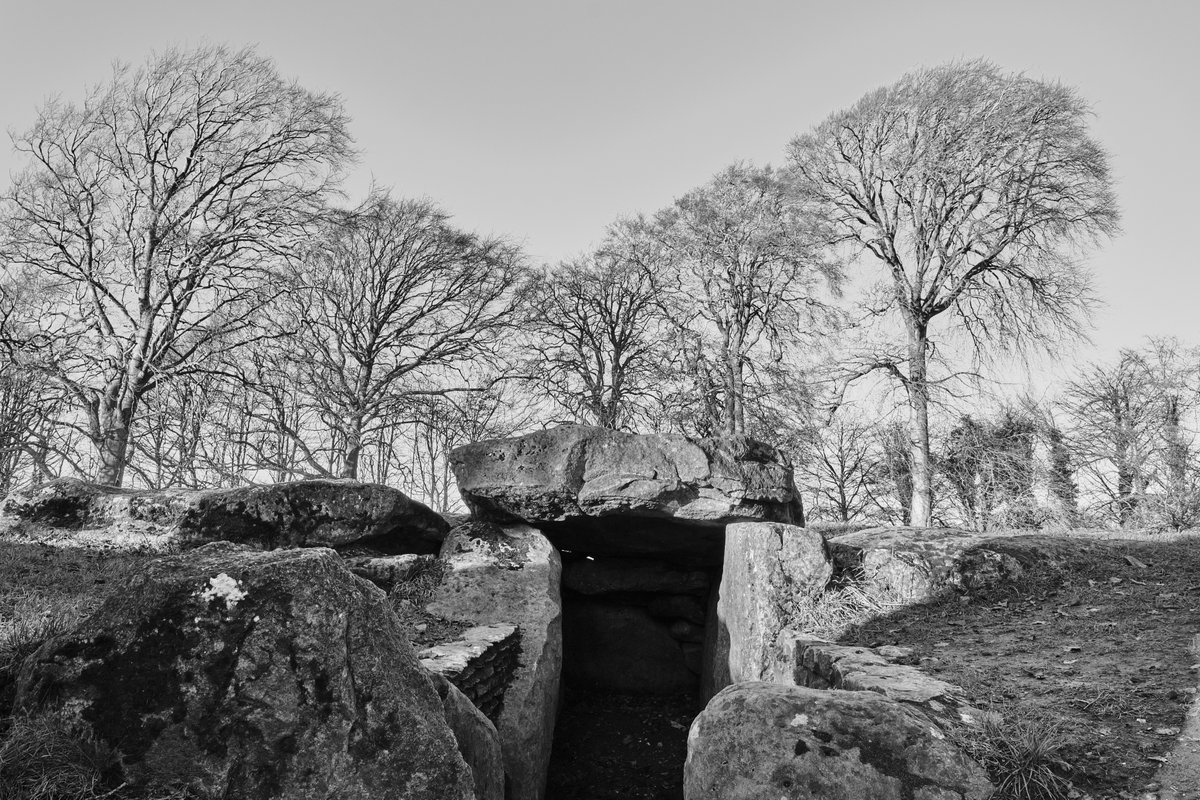 Hugh Warwick tweet media